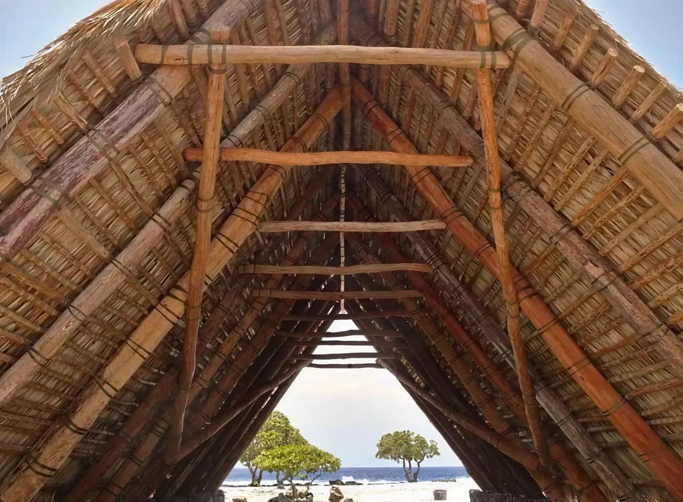 The thatched roof beams of a Pacific hale